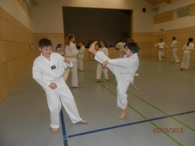 Taekwondo Training